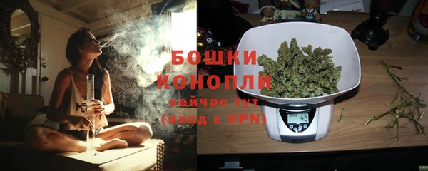 трава Абаза