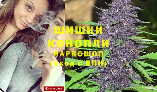 гидра Покачи